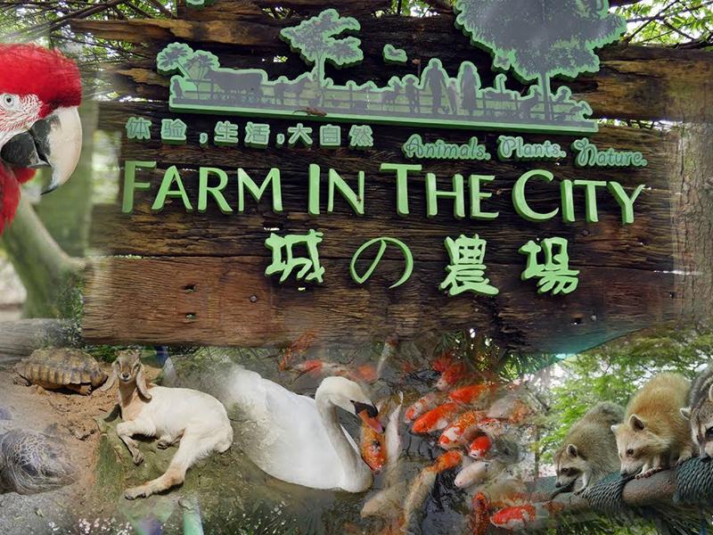 Farm In the Citys